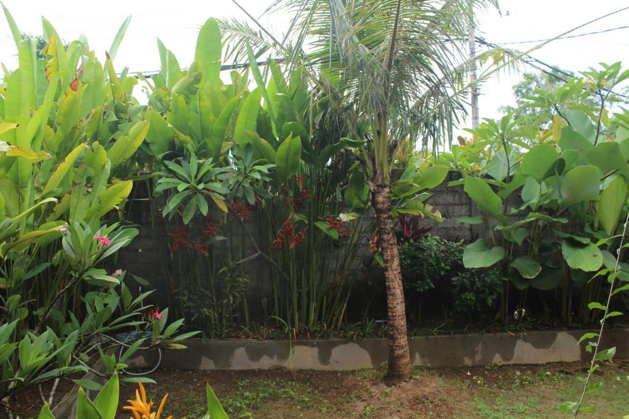 Paranyogan Homestay 2 Jimbaran  Luaran gambar